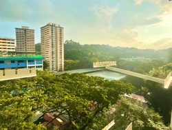 Blk 7 Telok Blangah Crescent (Bukit Merah), HDB 2 Rooms #496360991